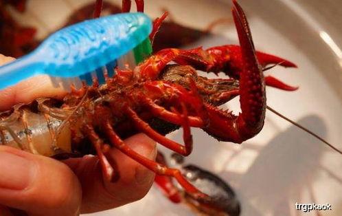 爆料麻辣小龙虾视频教程,视频教程大揭秘 第3张 爆料麻辣小龙虾视频教程,视频教程大揭秘 第3张