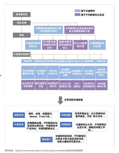 新闻共同体爆料案例,揭秘舆论监督的力量  第1张